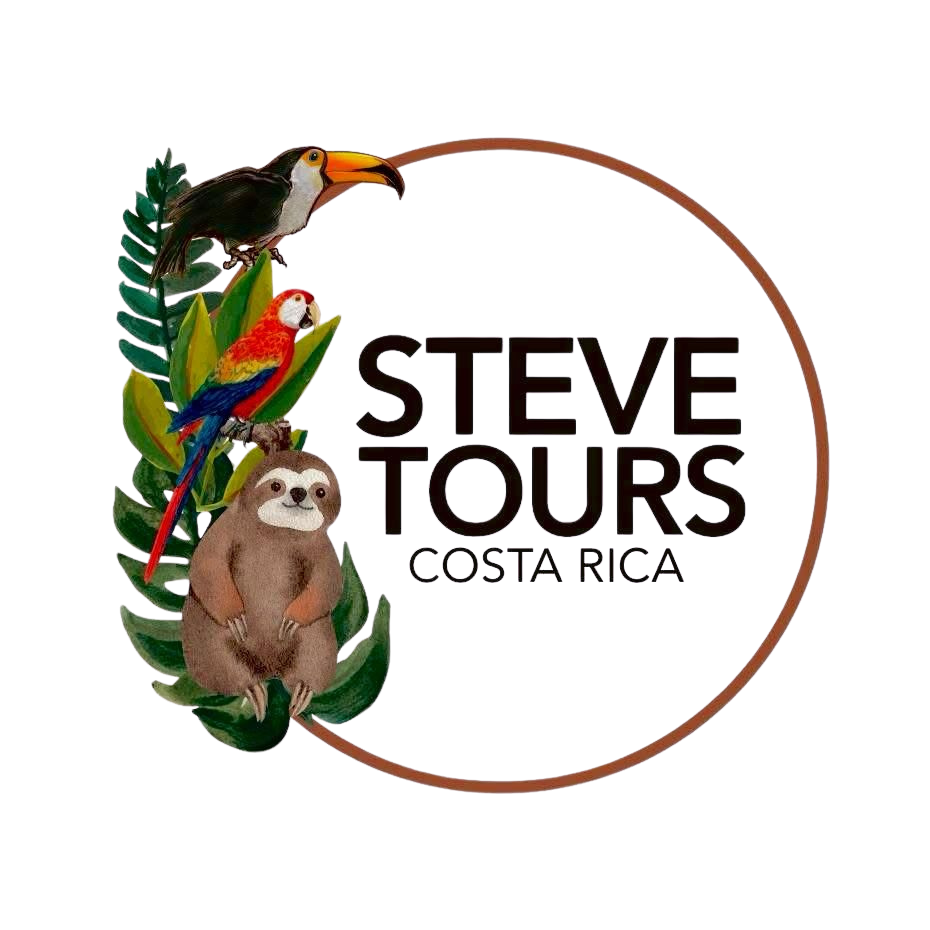 stevetourscostarica.com